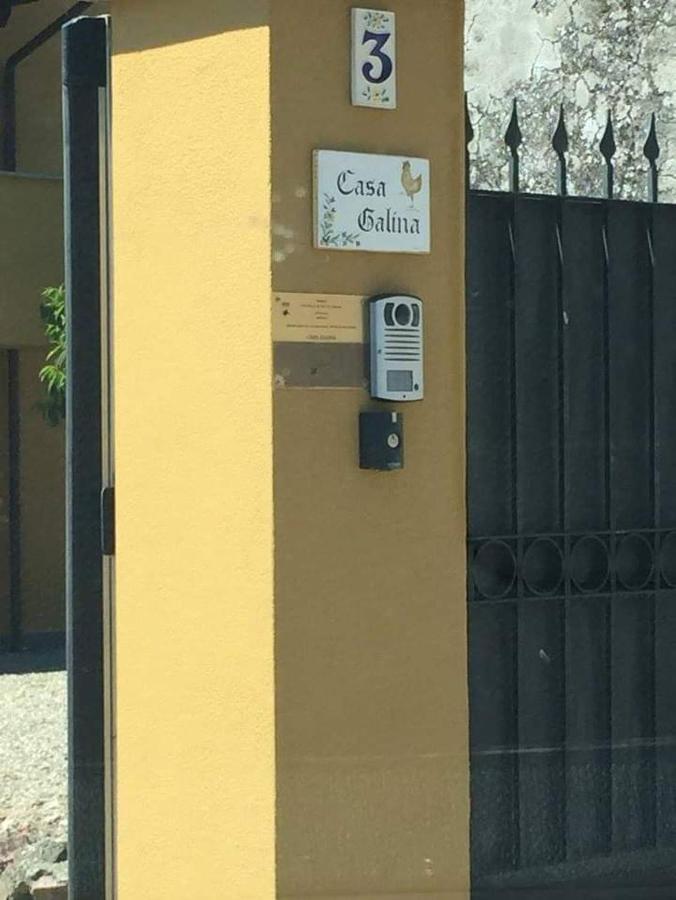 Casa Galina Villa Ciggiano ภายนอก รูปภาพ