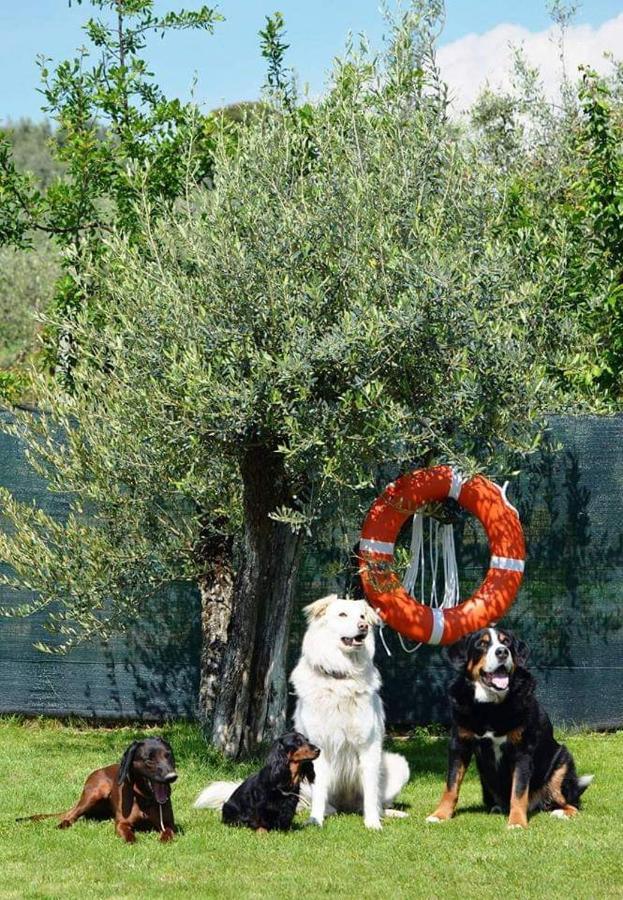 Casa Galina Villa Ciggiano ภายนอก รูปภาพ